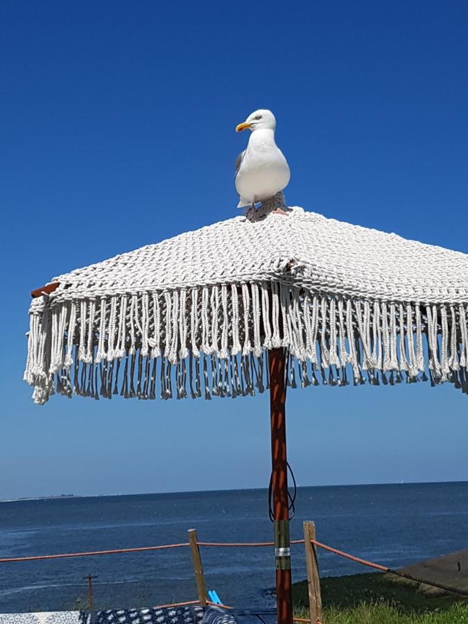 Romantisch Huisje Nabij Het Strand Met Uitzicht Op De Tulpenvelden Julianadorp Esterno foto