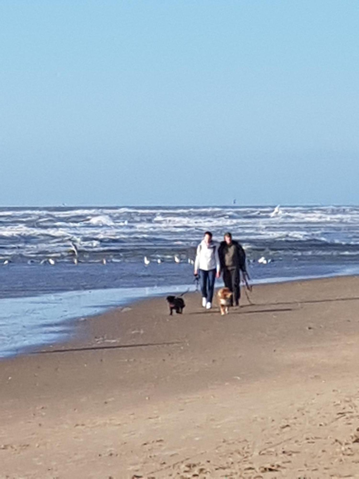 Romantisch Huisje Nabij Het Strand Met Uitzicht Op De Tulpenvelden Julianadorp Esterno foto