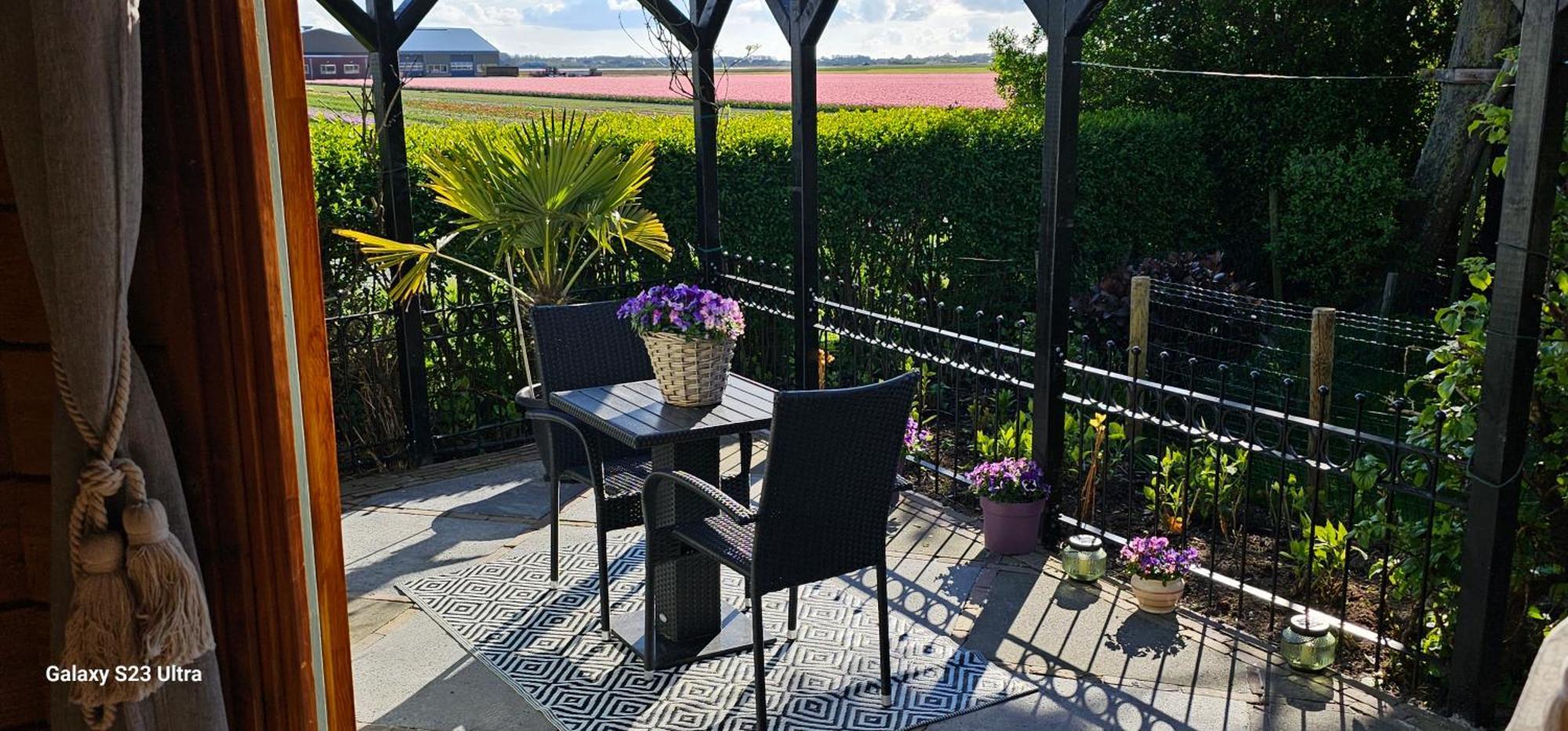 Romantisch Huisje Nabij Het Strand Met Uitzicht Op De Tulpenvelden Julianadorp Esterno foto