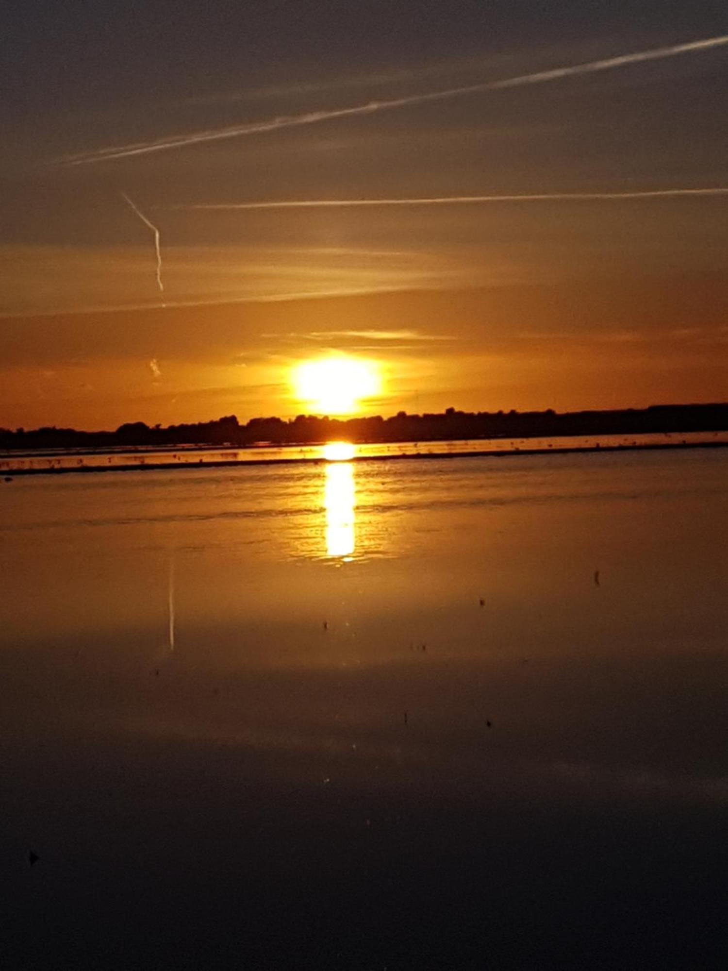 Romantisch Huisje Nabij Het Strand Met Uitzicht Op De Tulpenvelden Julianadorp Esterno foto