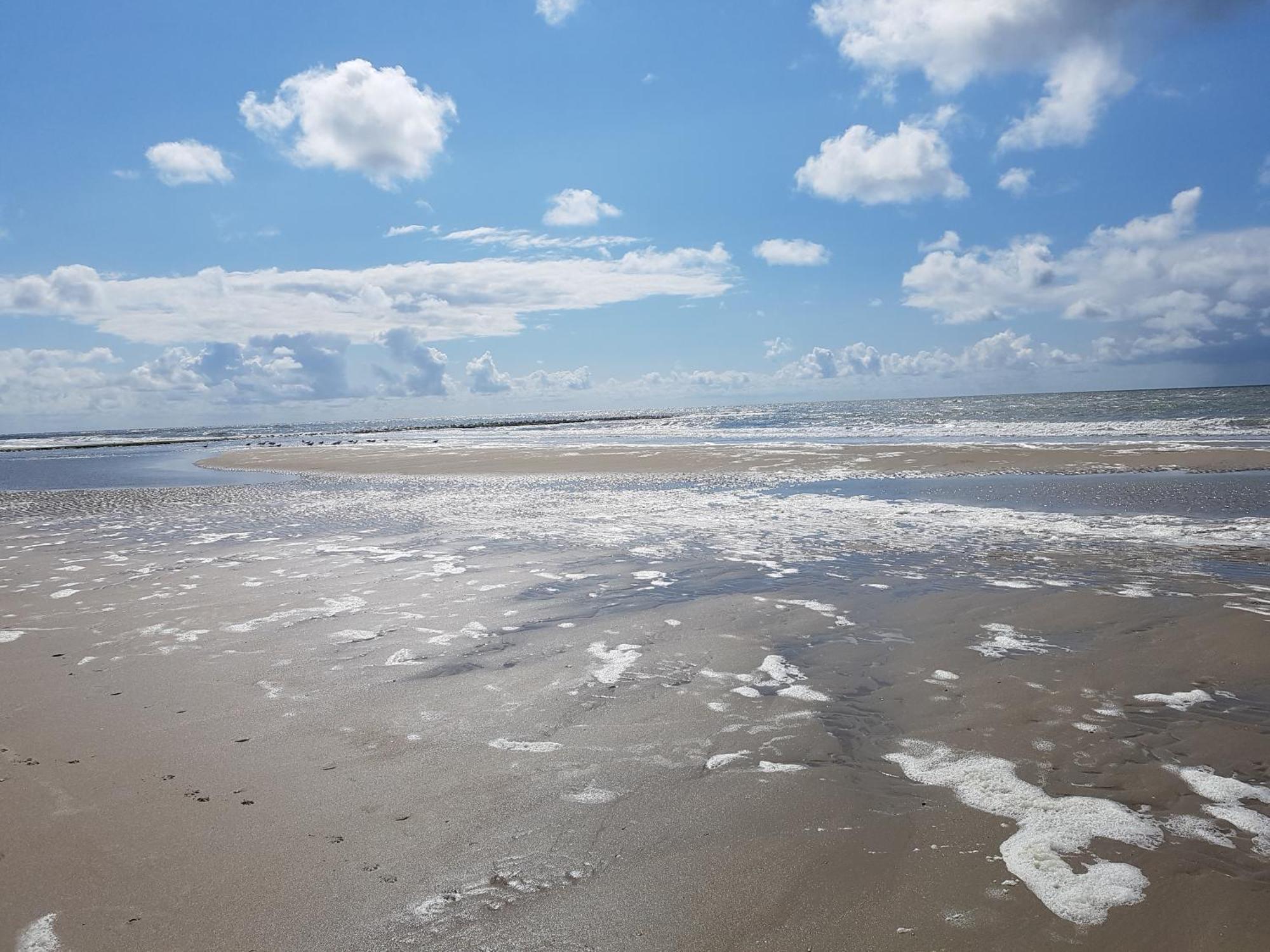 Romantisch Huisje Nabij Het Strand Met Uitzicht Op De Tulpenvelden Julianadorp Esterno foto