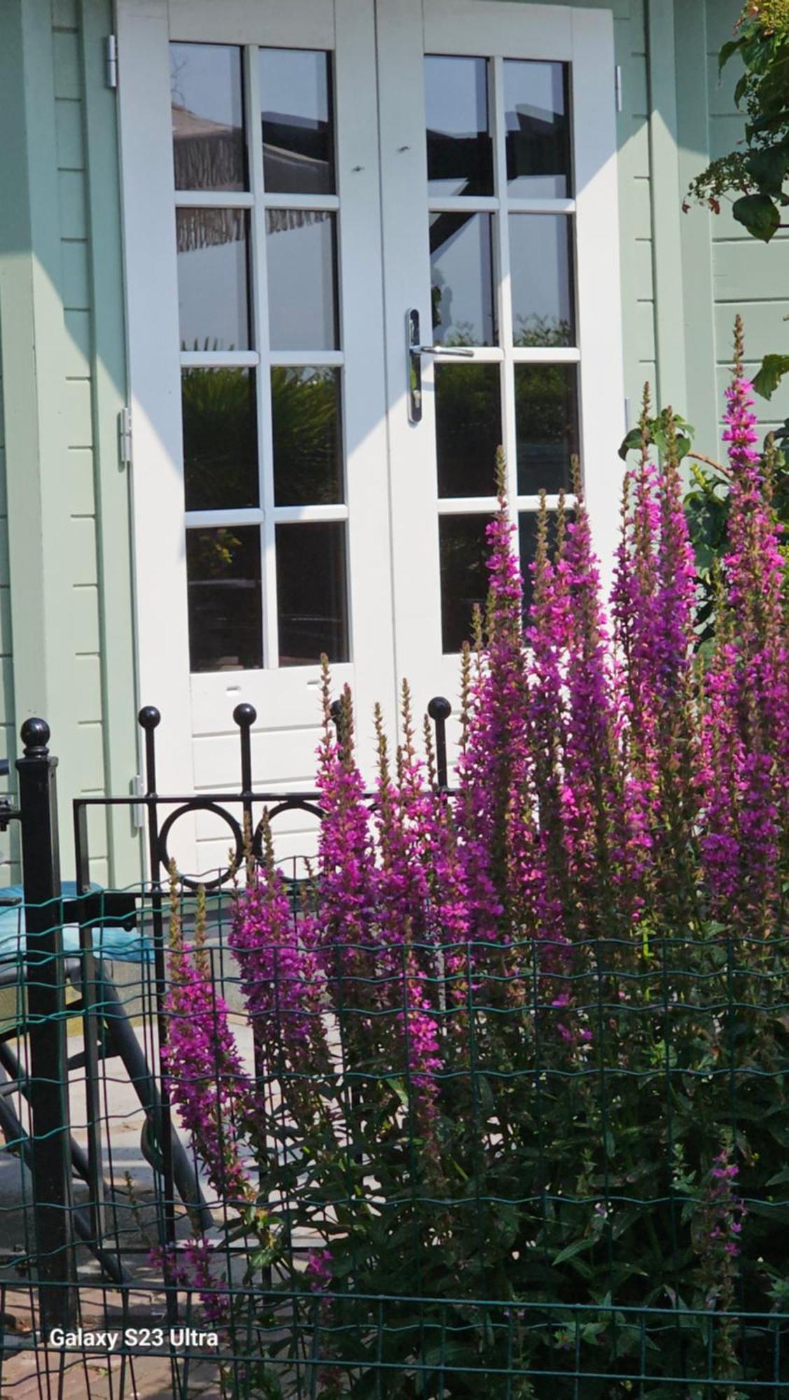 Romantisch Huisje Nabij Het Strand Met Uitzicht Op De Tulpenvelden Julianadorp Esterno foto