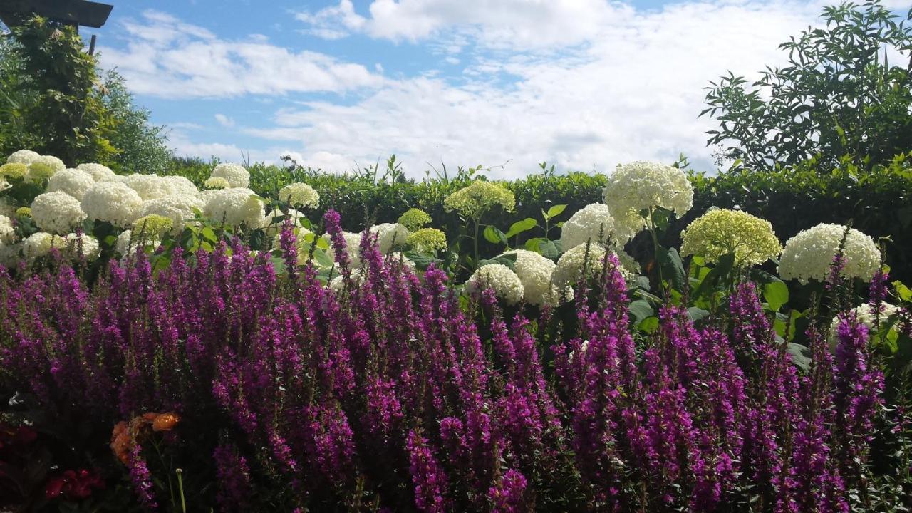 Romantisch Huisje Nabij Het Strand Met Uitzicht Op De Tulpenvelden Julianadorp Esterno foto