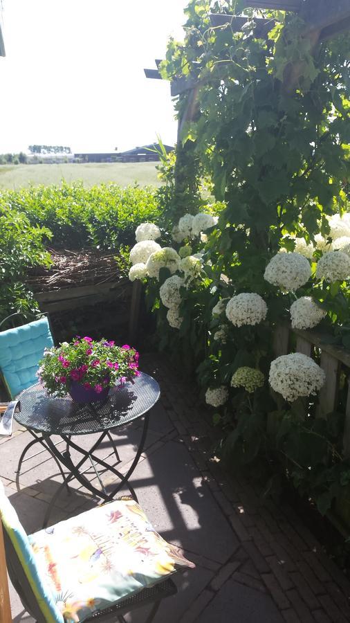 Romantisch Huisje Nabij Het Strand Met Uitzicht Op De Tulpenvelden Julianadorp Esterno foto