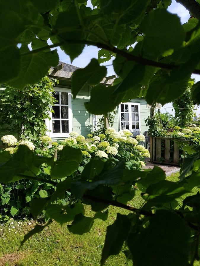 Romantisch Huisje Nabij Het Strand Met Uitzicht Op De Tulpenvelden Julianadorp Esterno foto